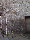 Magdalen Street Wall - elevations